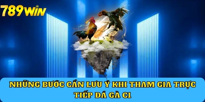 Những bước cần lưu ý khi tham gia trực tiếp đá gà C1