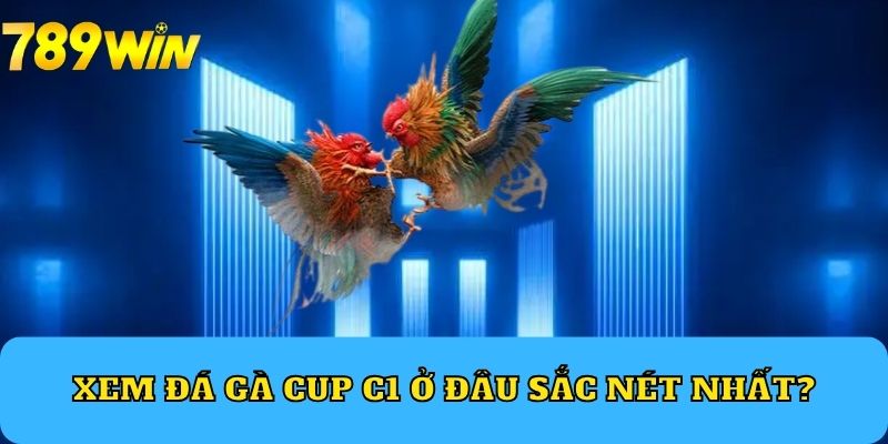 Xem đá gà Cup C1 ở đâu sắc nét nhất?