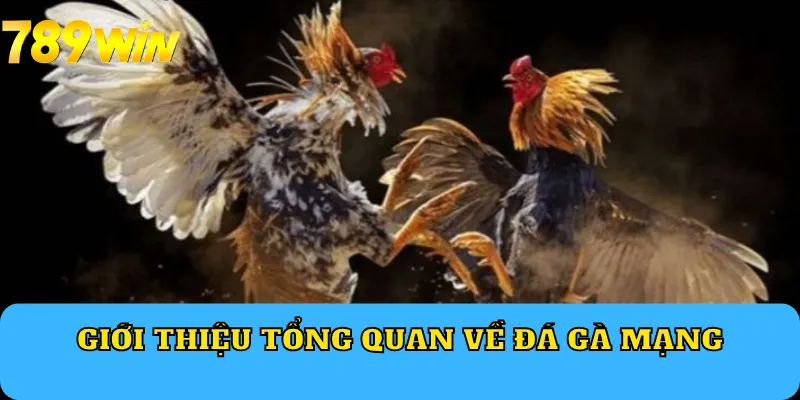 Giới thiệu tổng quan về đá gà mạng