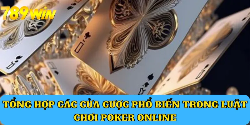 Tổng hợp các cửa cược phổ biến trong luật chơi Poker online